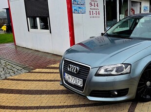 Audi A3 8P Hatchback 3d 1.6 TDI 105KM 2010