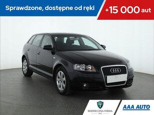 Audi A3 8P Hatchback 3d 1.9 TDI 105KM 2006