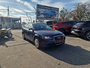 Audi A3 8P Hatchback 3d 1.9 TDI 105KM 2008