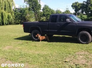 Dodge Dakota