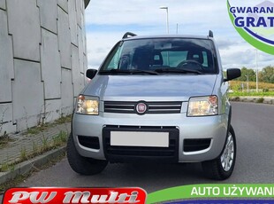 Fiat Panda II Hatchback 5d 1.3 i 16V Multijet 4X4 70KM 2009