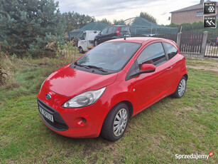 Ford KA 1.2i 70KM Polski Salon Klima II (2008-)