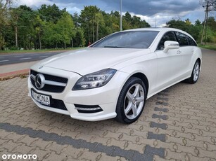 Mercedes-Benz CLS 500 4-Matic BlueEff