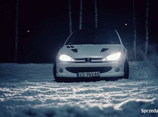 Peugeot 206 RC