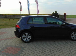 Piękny Golf 7 1.6 TDI Import Niemcy 171 tyś km Serwis Zobacz