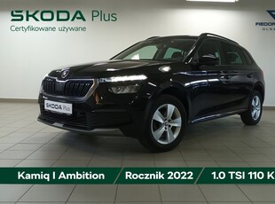 Skoda 2022