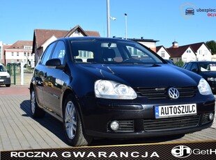 Volkswagen Golf VI Hatchback 5d 1.6 102KM 2009