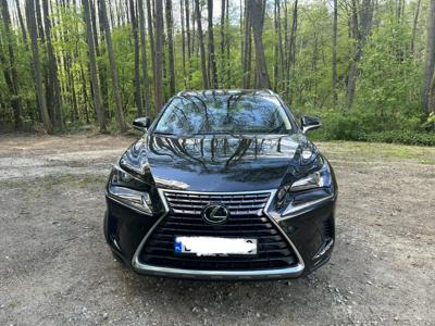 LEXUS NX300