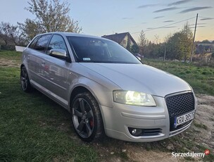 Audi a3 8P 2.0tdi DSG