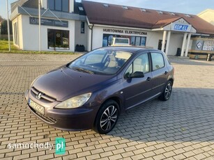 Peugeot 307 I