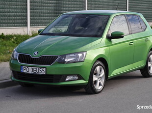 Skoda Fabia 1.4 TDI Ambition Krajowa Bezwypadkowa I Właściciel Serwisowana