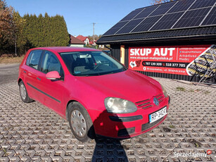 Volkswagen Golf 1.6 FSI 04r