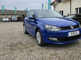 Volkswagen Polo Serwisowany V (2009-2017)