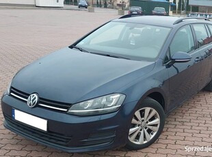 1taki Volgswagen Golf VII 1,6 Diesel 81KW Polska