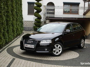 Audi A3 Lift - Climatronic - Serwisowana - GWARANCJA - Zakup Door To Door …