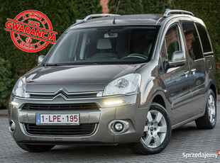 Citroen Berlingo Lift 1.6HDI 92KM ! Super Stan ! Opłacony ! II (2008-2018)