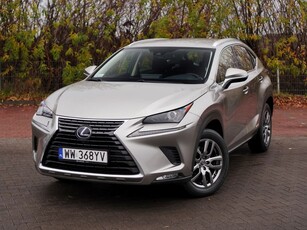 Lexus NX 300h Elegance Optimum AWD