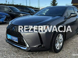 Lexus UX 250h,Hybryda,Ideał,Gwarancja