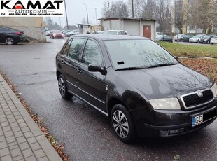 Skoda Fabia I