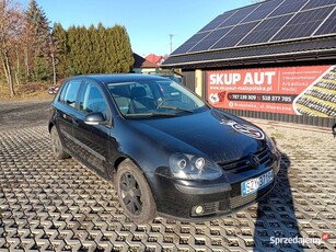 Volkswagen Golf 1.9TDi 105km 04r