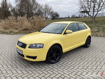 Audi A3 1.6 benzynka