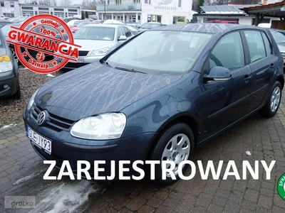 Volkswagen Golf V 1.9TDI 105KM Klimatronic 193tysKM Zamiana 6 biegów zadbany