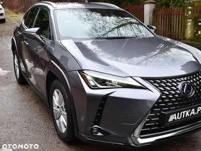 Lexus UX 250h