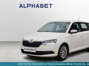 Skoda Fabia III Fabia 1.0 TSI Ambition Salon PL 1wł. f-vat 23%