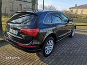 Używany Audi Q5 2010