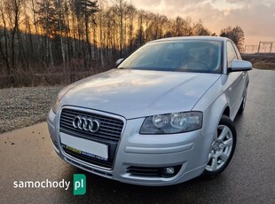 Audi A3 8P