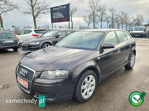 Audi A3 8P