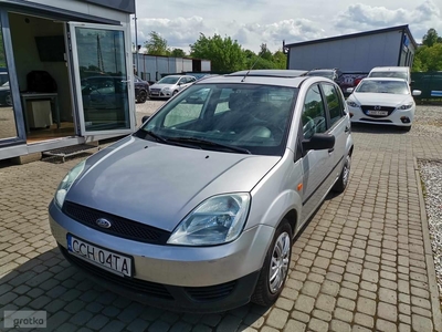 Ford Fiesta V