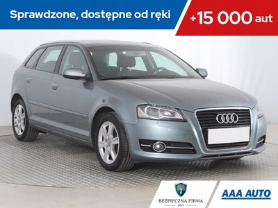 Audi A3 8P Hatchback 3d 1.4 TFSI 125KM 2010