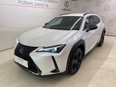 Lexus 2022