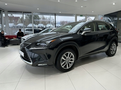 Lexus NX II 2021