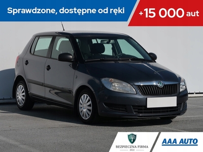 Skoda Fabia II Hatchback Facelifting 1.6 TDI CR DPF 75KM 2011