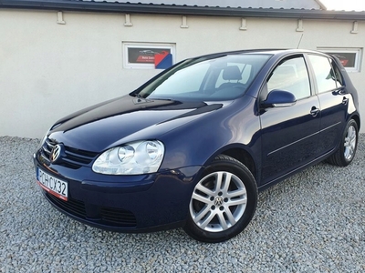 Volkswagen Golf V Hatchback 1.9 TDI 105KM 2007