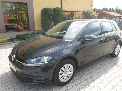 Volkswagen Golf VII Hatchback 3d Facelifting 1.6 TDI-CR DPF BMT 115KM 2019