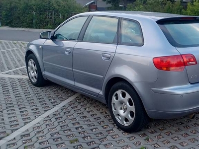 AUDI A3 1.6 MPI, 5DRZWI, CLIMATR, ESP.ELEKTRYKA ,OPLATY 03.2025r