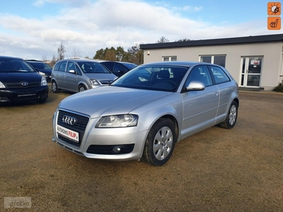 Audi A3 II (8P) 1.6 MPI 102 KM KLIMA, ELEKTRYKA, ZADBANY