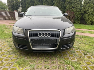 Audi A3 II (8P) Audi A3 8p 1 9tdi BKC