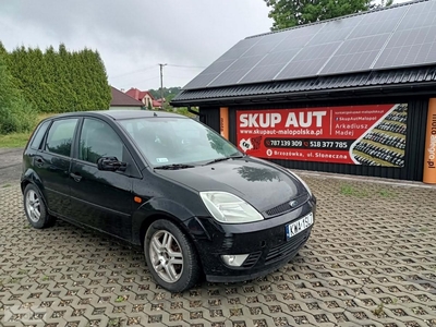 Ford Fiesta V Ford Fiesta 1.2 04r