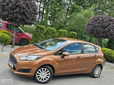 Ford Fiesta VIII 1.25 benzyna / Salon PL / ZADBANA