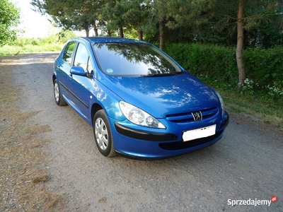 Śliczny peugeot 307 1.4 B super cena