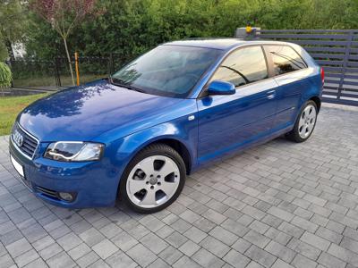 Audi A3 8L Hatchback 1.6 i 102KM 2003