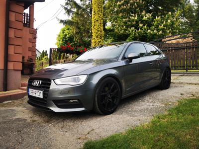 Audi A3 8P Hatchback 3d 1.6 TDI 105KM 2012