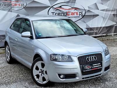 Audi A3 8P Hatchback 3d 1.9 TDI 105KM 2005