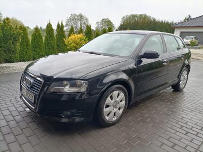 Audi A3 8P Sportback 1.6 TDI 102g 105KM 2013