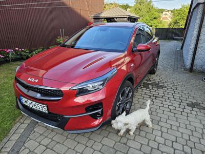 Kia x ceed 1.5 manual