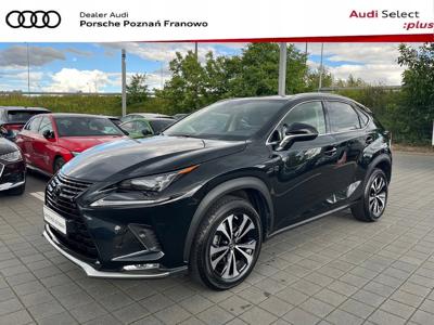 Lexus NX I SUV Facelifting 300 238KM 2021